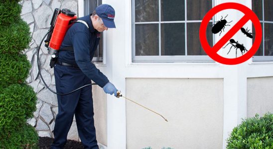 Kemah Böcek İlaçlama böcek ilaçlama ve haşere kontrolü — ilaclama-tr.com